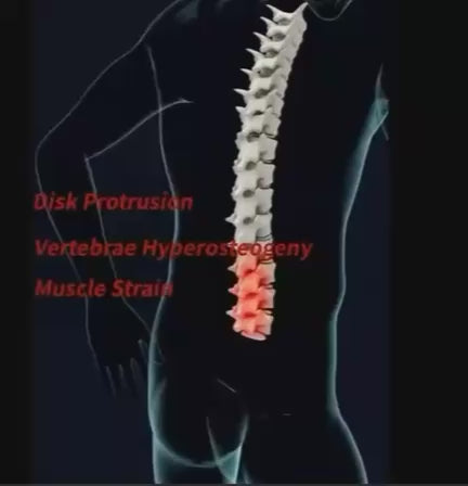 Alphay Spinal Support Belt Lumbar Support Lower Back Belt Spinal Care Elastic Back Support for Back Pain Relief